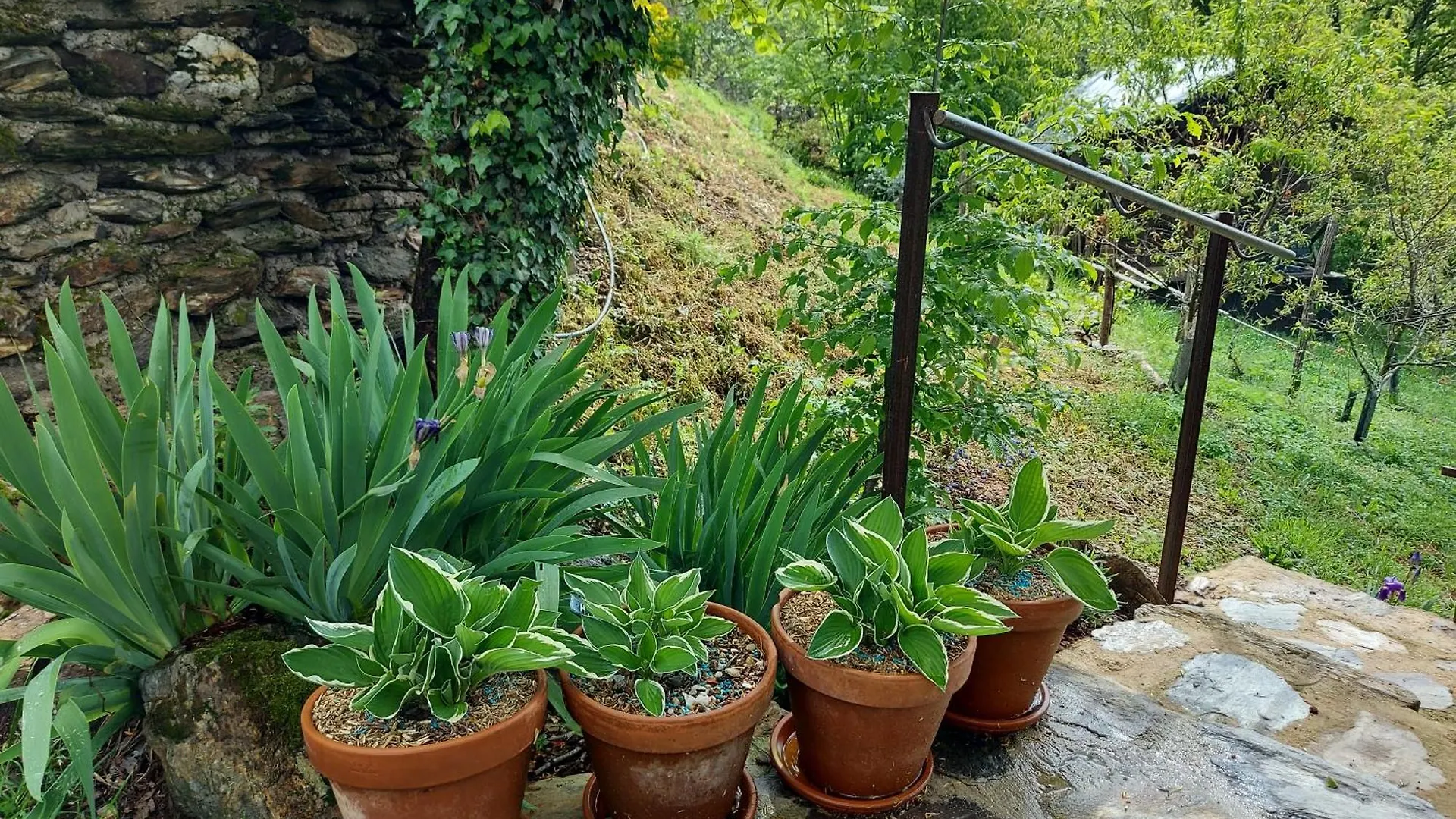 Alojamento de Acomodação e Pequeno-almoço Louradou-Sur-Ciel Acomodação com café da manhã Jouqueviel